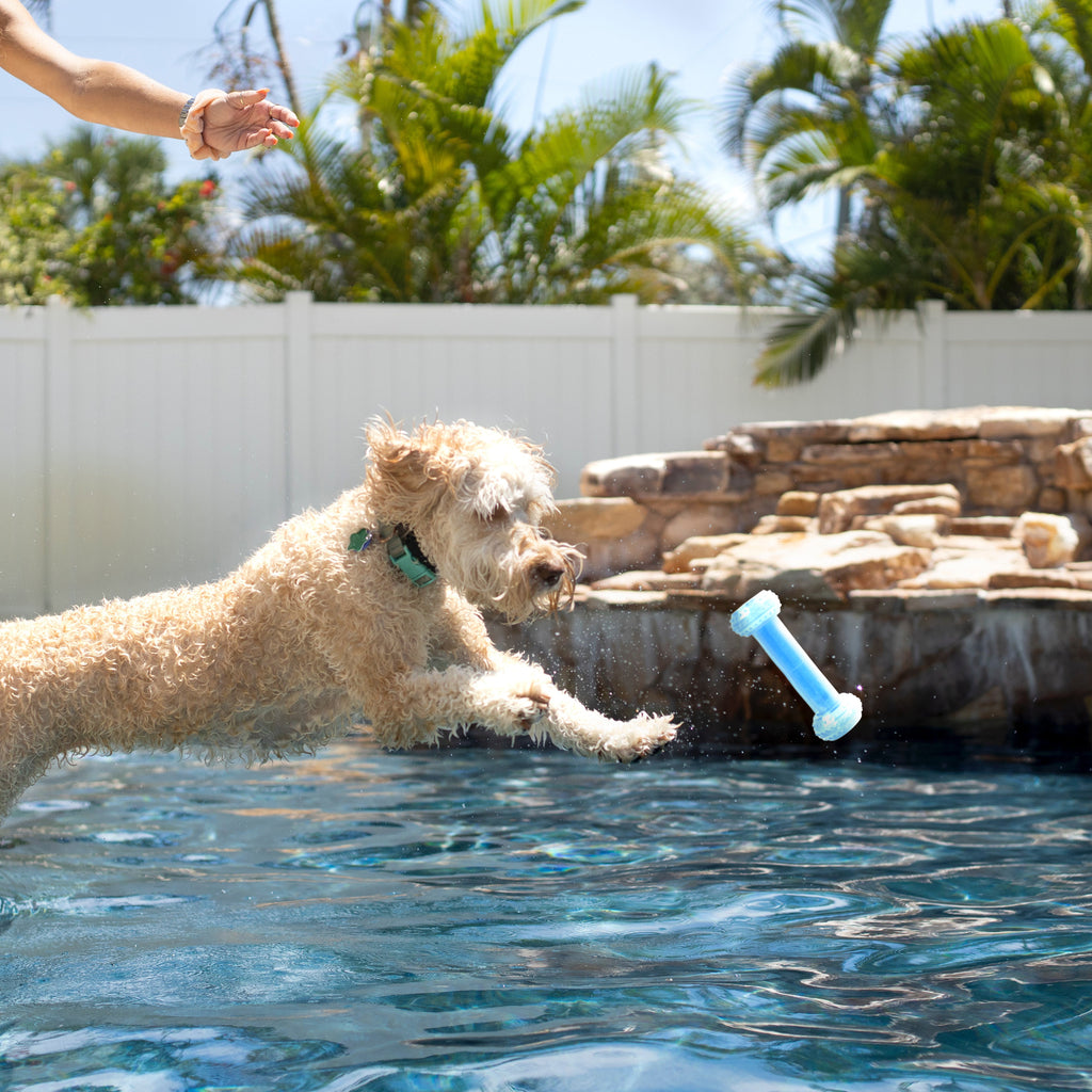 Freezy Toy Dumbbell Blue 16x5.5cm