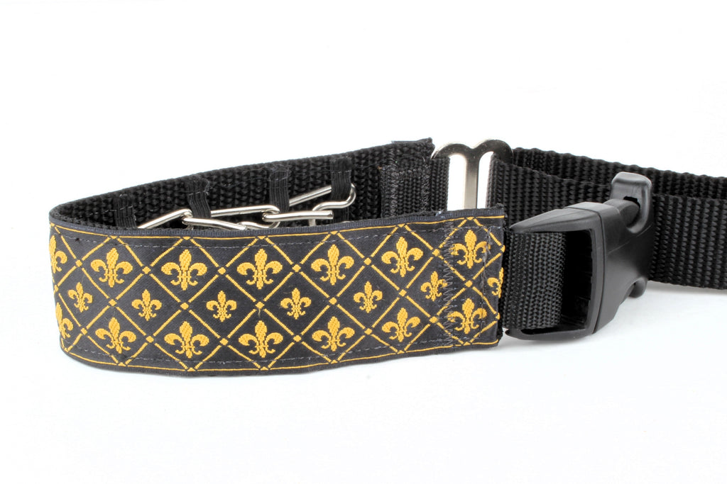 Lola Secret Powers Training Collars  6 Prongs (11-19" neck)