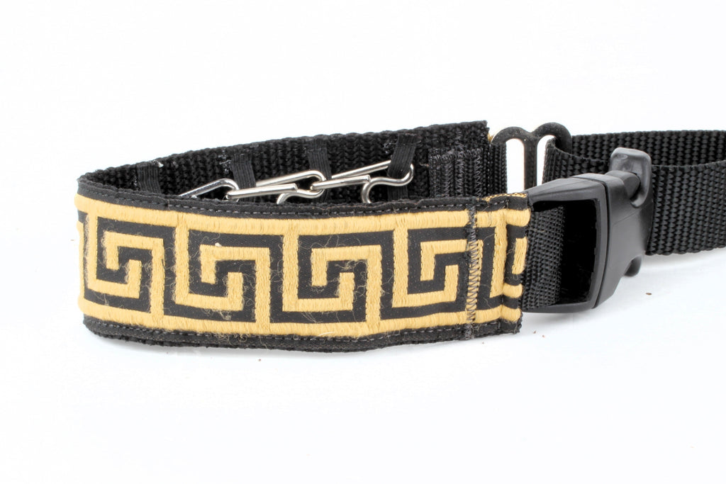 Lola Secret Powers Training Collars  6 Prongs (11-19" neck)