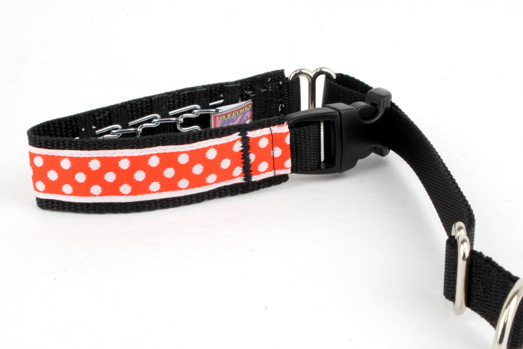 Lola Secret Powers Training Collar  14 Prong (13-20")