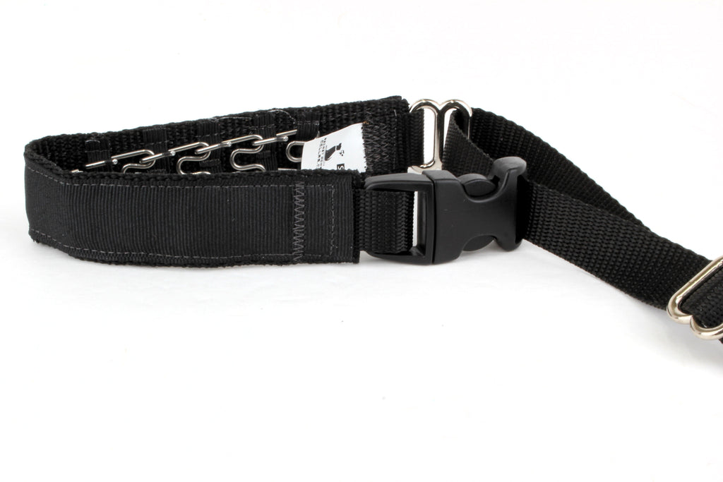 Lola Secret Powers Training Collar  14 Prong (13-20")