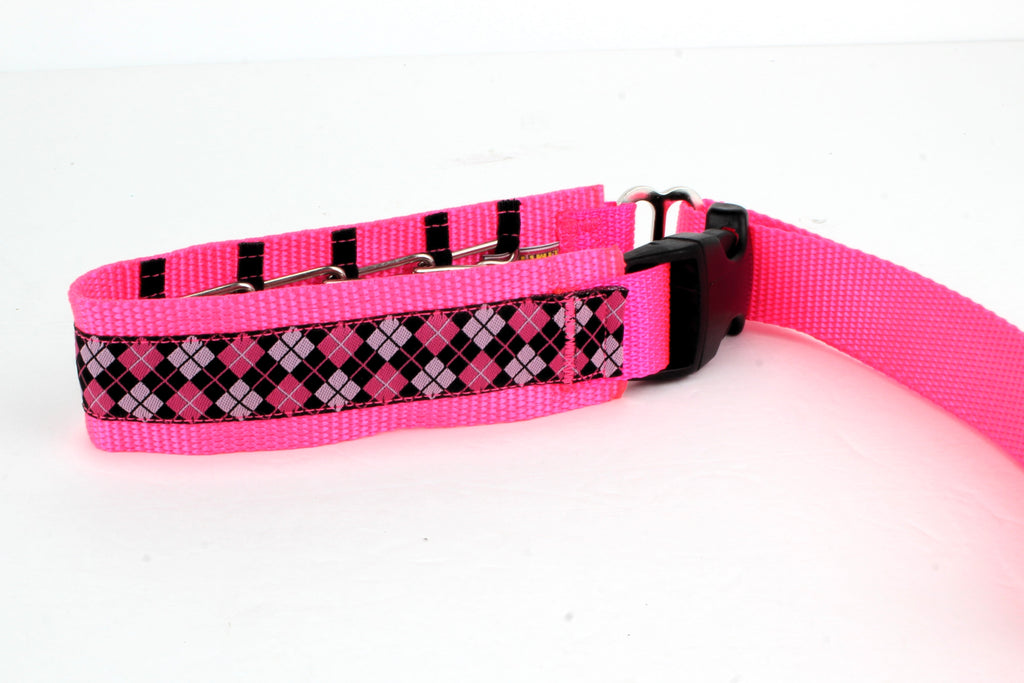 Lola Secret Powers Training Collars  10 Prongs (15-25" neck)