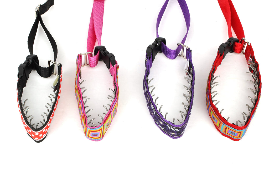 Lola Secret Powers Training Collar 8  Prong (9-15")