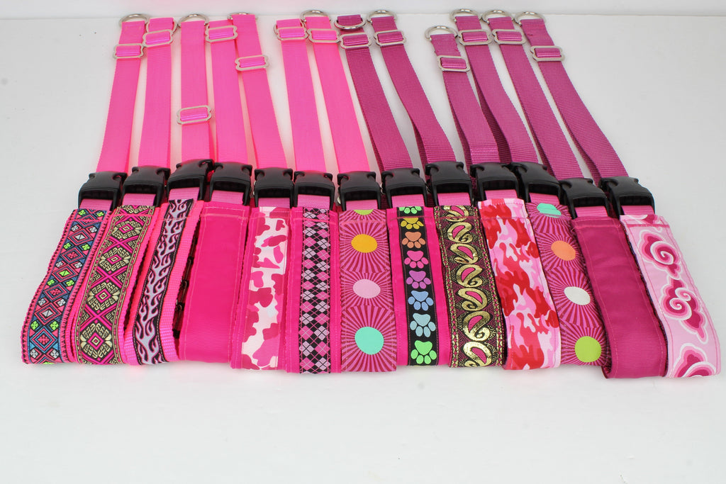 Lola Secret Powers Training Collars  10 Prongs (15-25" neck)