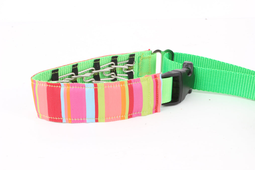 Lola Secret Powers Training Collars  8 Prongs (12-21" neck)