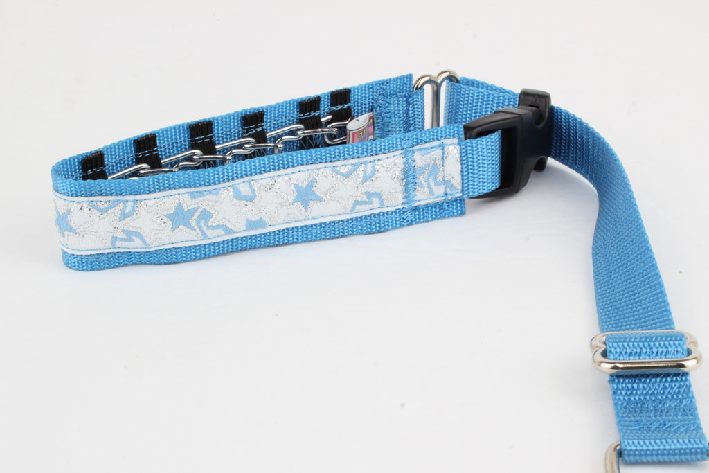 Lola Secret Powers Training Collar  14 Prong (13-20")