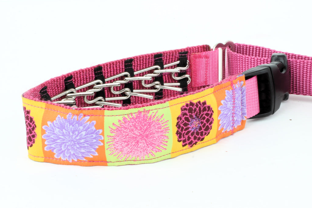 Lola Secret Powers Training Collars  10 Prongs (15-25" neck)