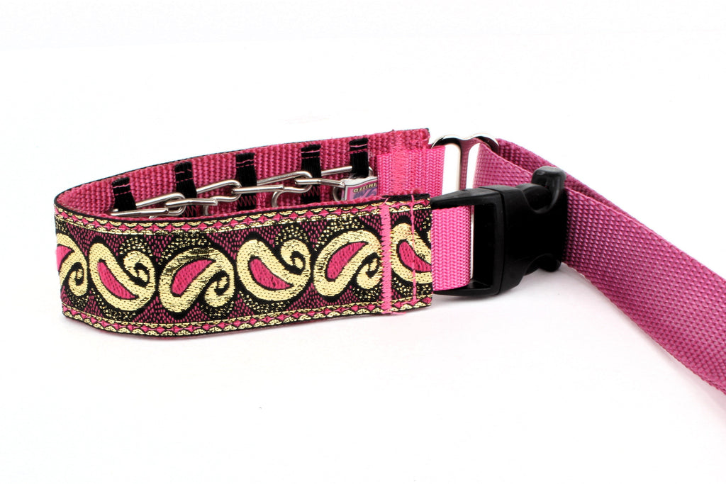 Lola Secret Powers Training Collars  14 Prongs (19-31" neck)