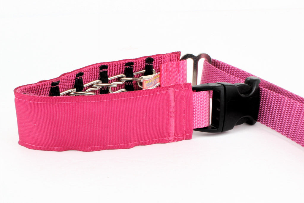 Lola Secret Powers Training Collars  6 Prongs (11-19" neck)
