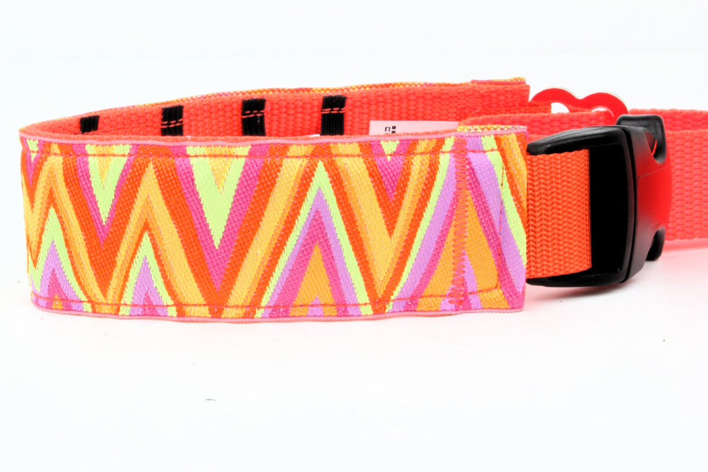 Lola Secret Powers Training Collars  10 Prongs (15-25" neck)