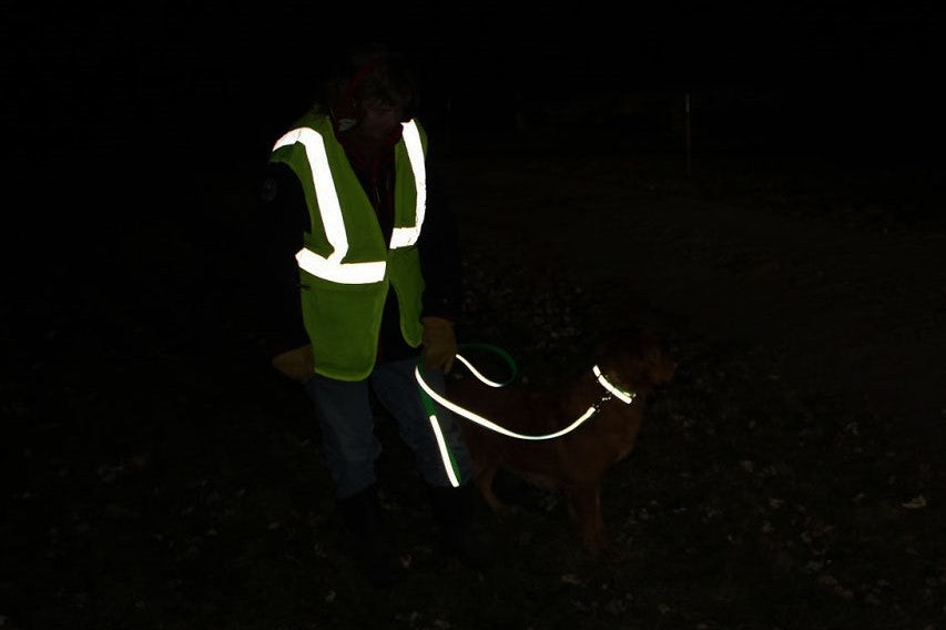 BioThane Reflective Sport Collars
