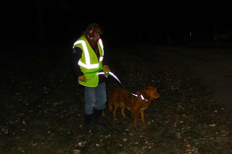 BioThane Reflective Sport Collars