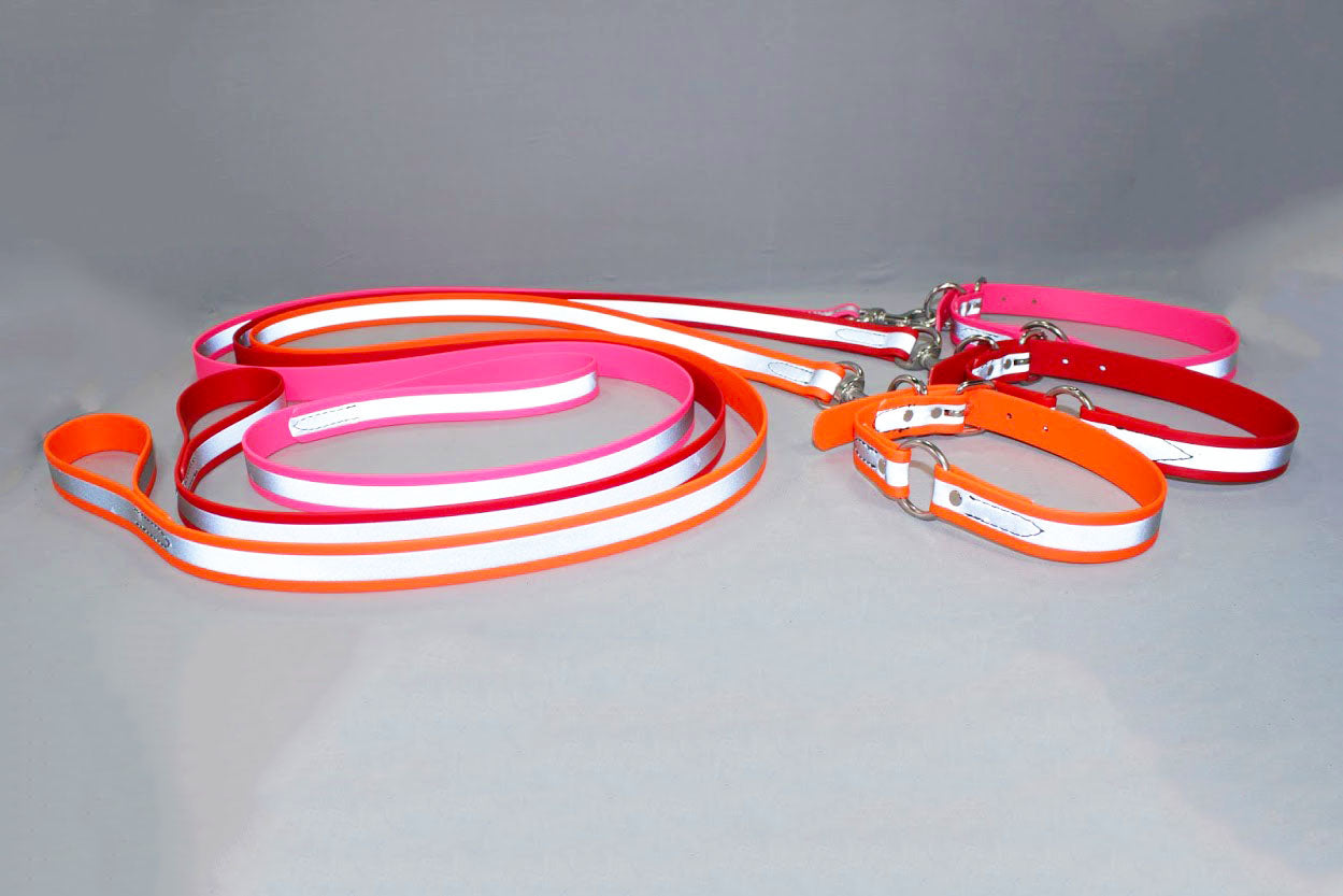 BioThane Reflective Sport Collars