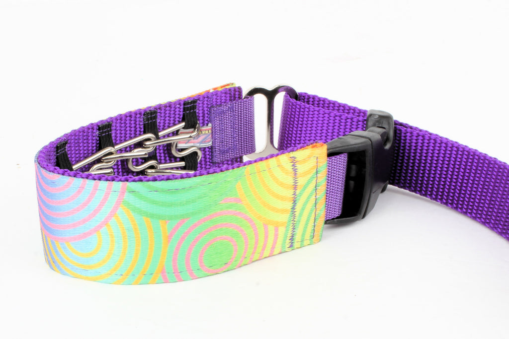 Lola Secret Powers Training Collars  6 Prongs (11-19" neck)