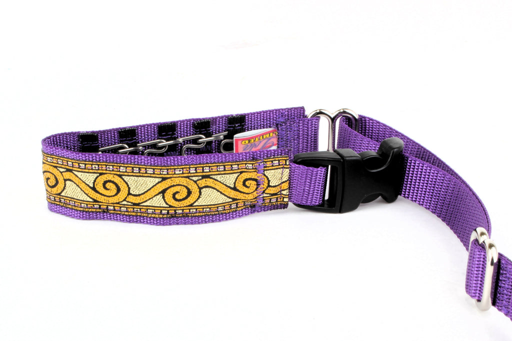 Lola Secret Powers Training Collar 8  Prong (9-15")