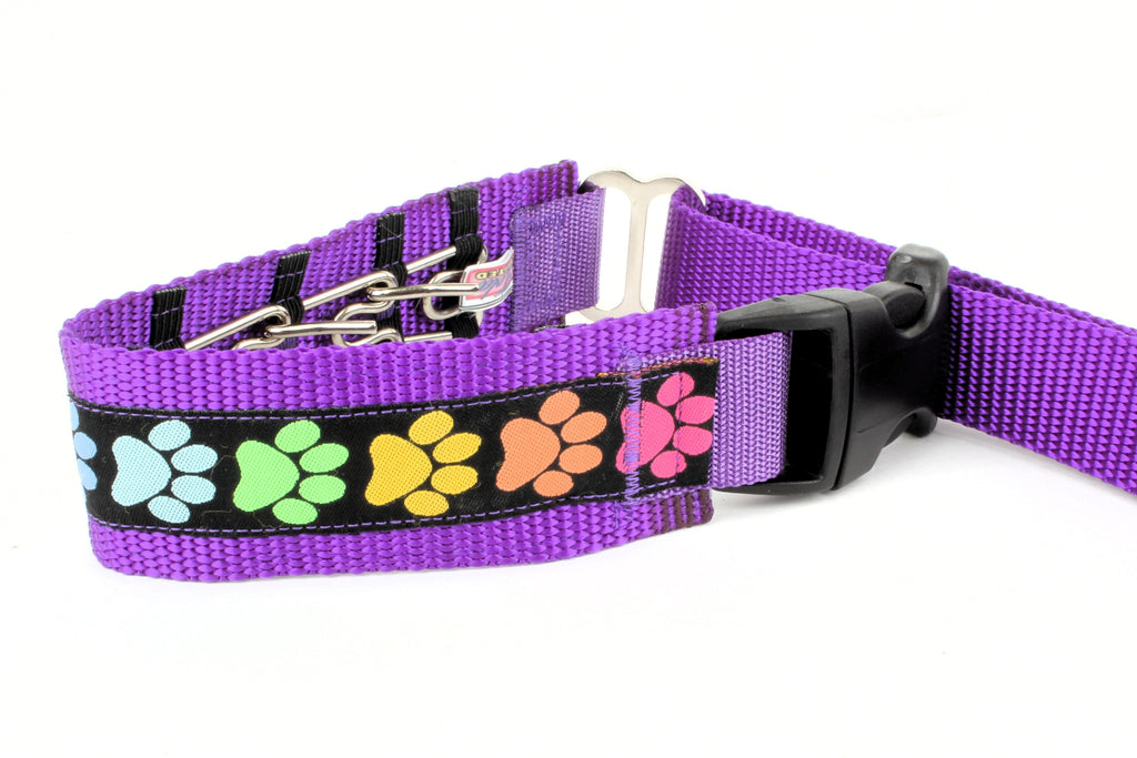 Lola Secret Powers Training Collars  6 Prongs (11-19" neck)