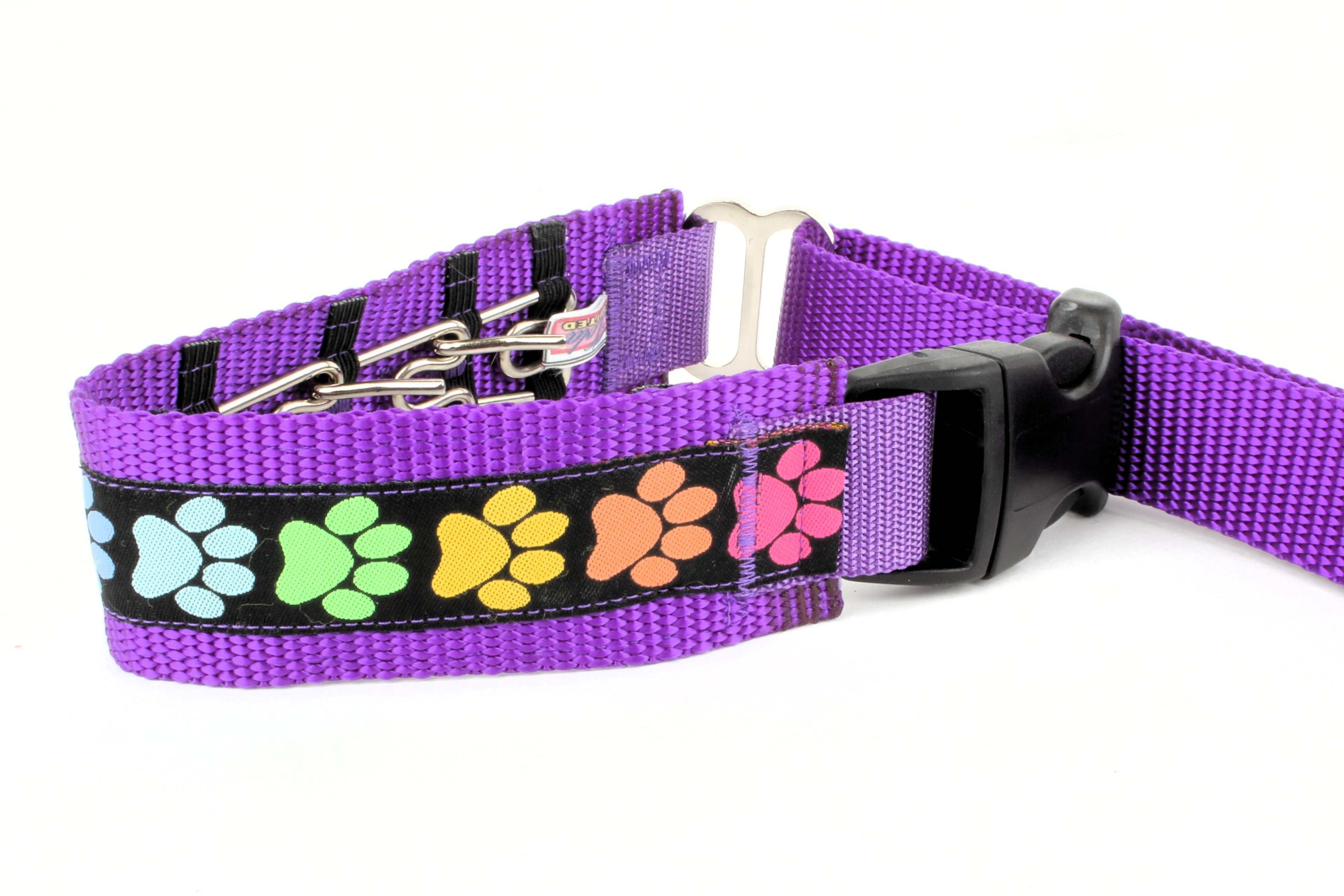 Lola Secret Powers Training Collars  6 Prongs (11-19" neck)