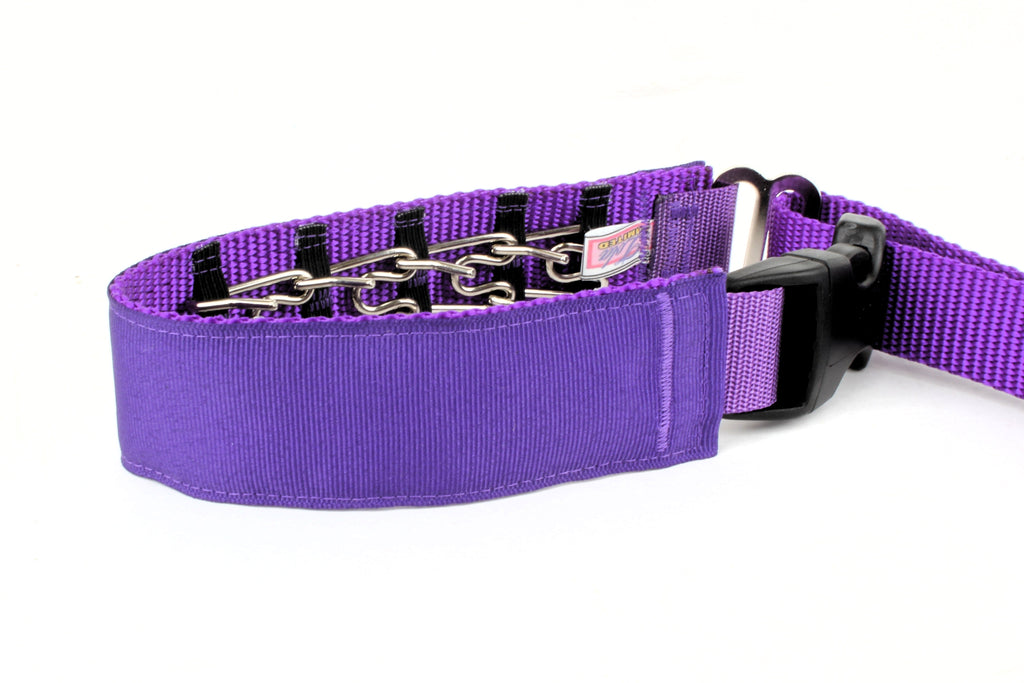 Lola Secret Powers Training Collars  6 Prongs (11-19" neck)