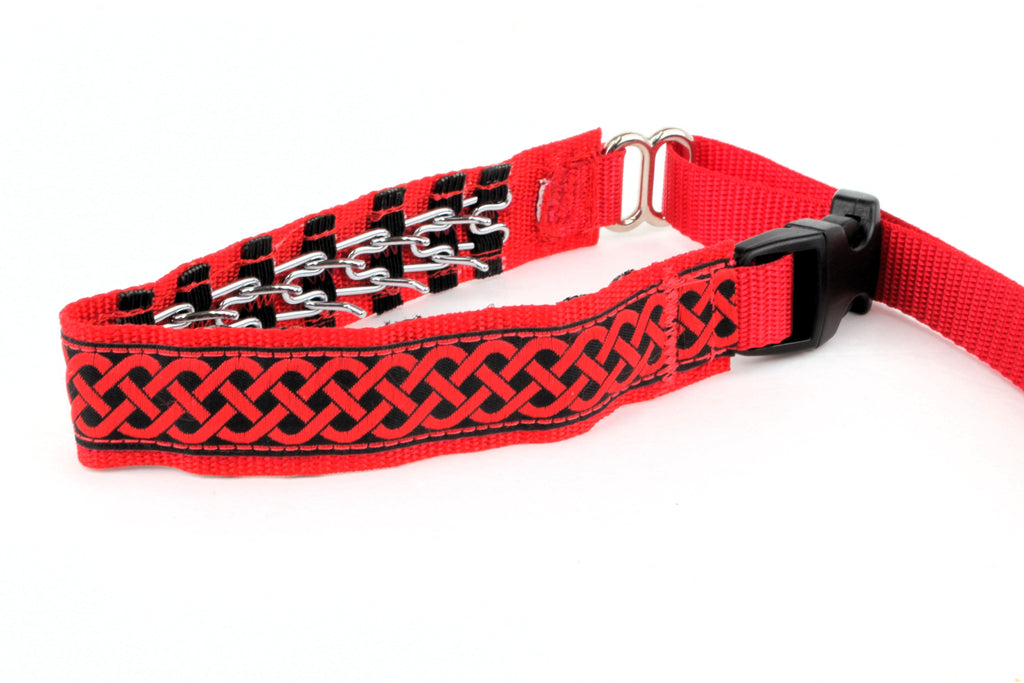 Lola Secret Powers Training Collar 10 Prong (10-17")
