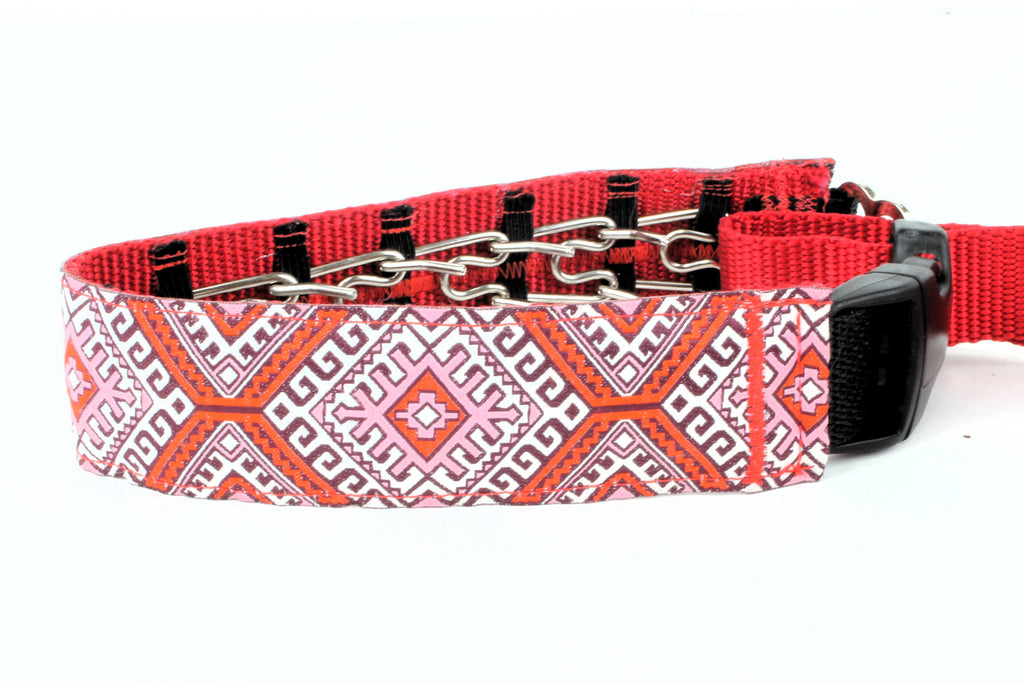 Lola Secret Powers Training Collars  10 Prongs (15-25" neck)