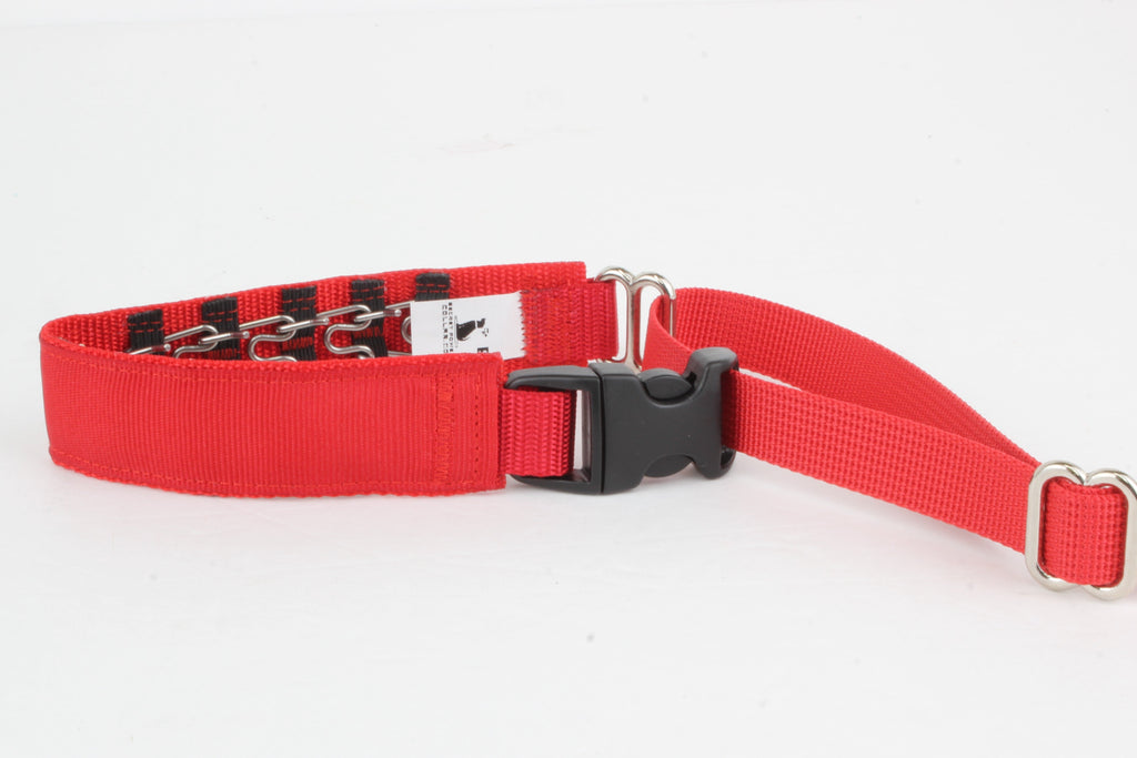 Lola Secret Powers Training Collar 12 Prong (11-19")