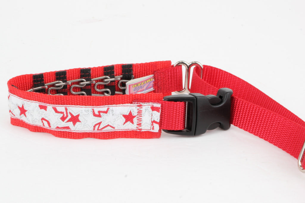 Lola Secret Powers Training Collar 10 Prong (10-17")