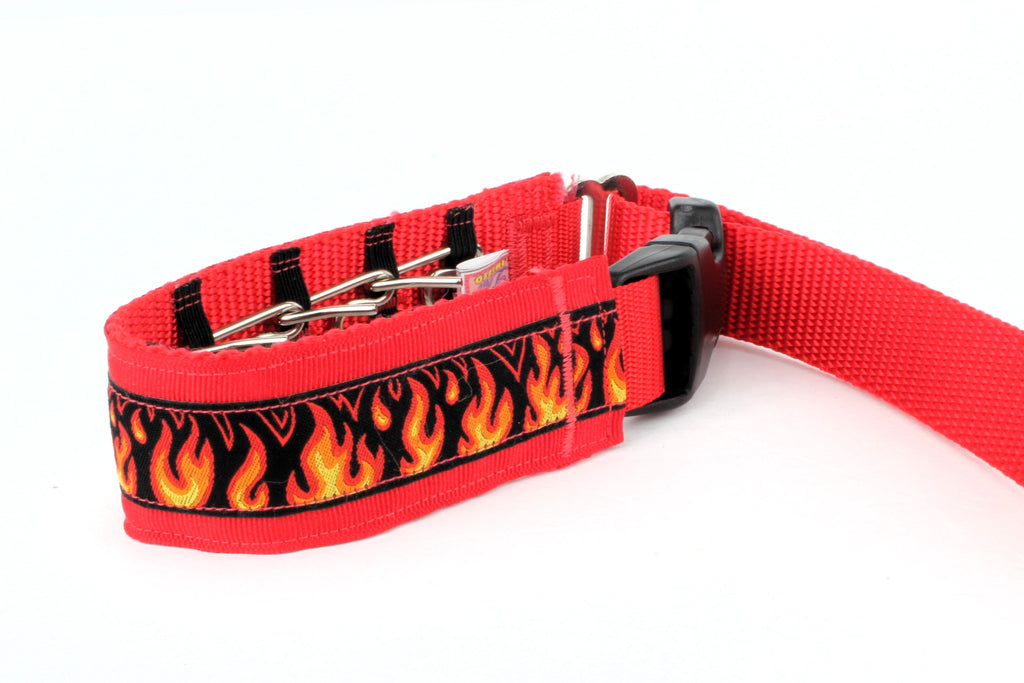 Lola Secret Powers Training Collars  6 Prongs (11-19" neck)