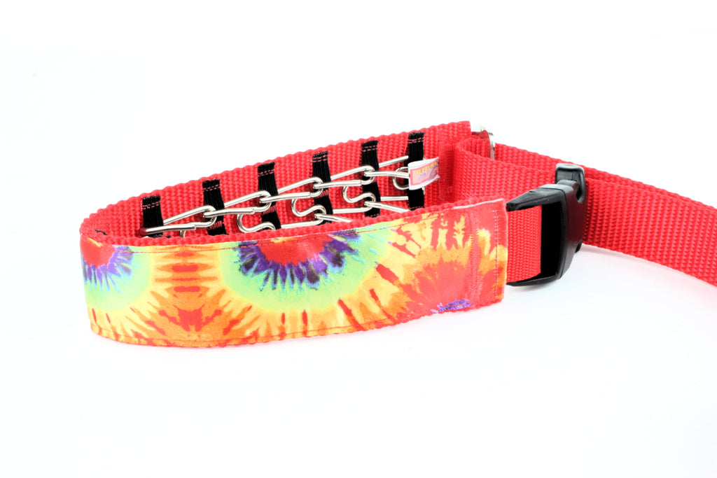 Lola Secret Powers Training Collars  12 Prongs (17-27" neck)