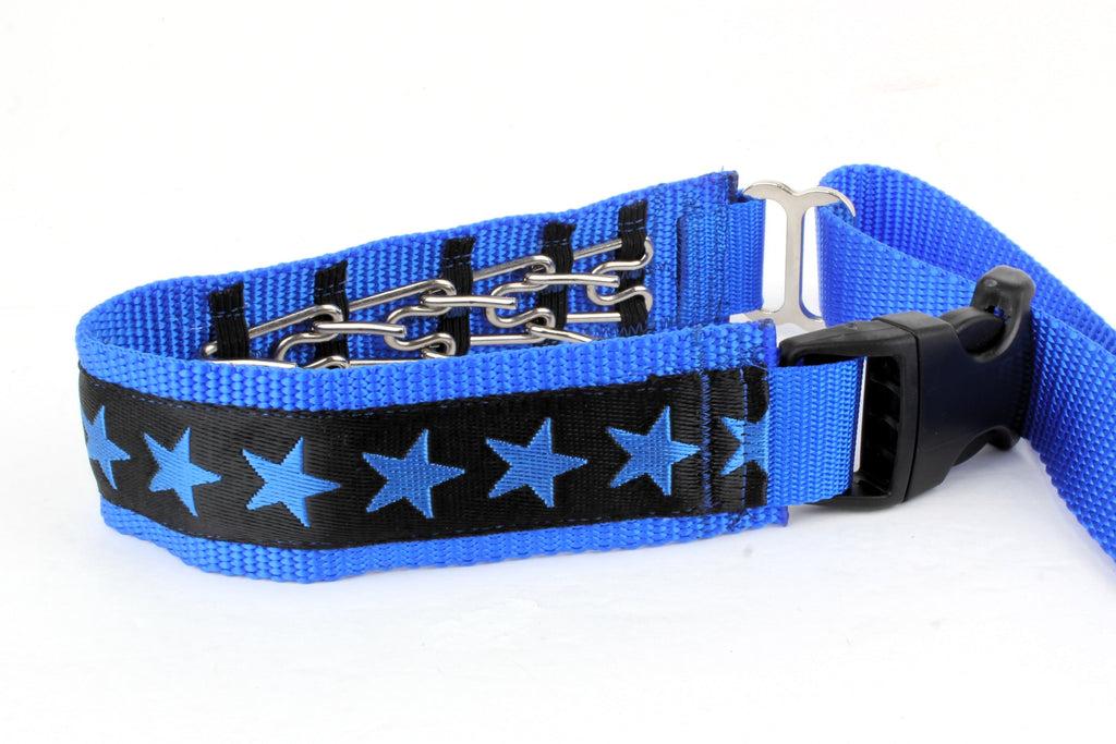 Lola Secret Powers Training Collars  6 Prongs (11-19" neck)