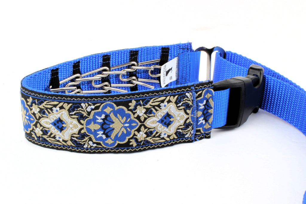 Lola Secret Powers Training Collars  6 Prongs (11-19" neck)