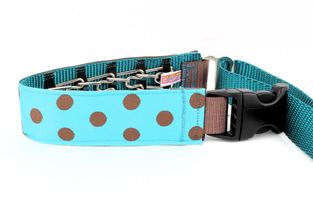 Lola Secret Powers Training Collars  6 Prongs (11-19" neck)