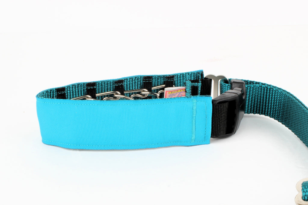 Lola Secret Powers Training Collars  6 Prongs (11-19" neck)