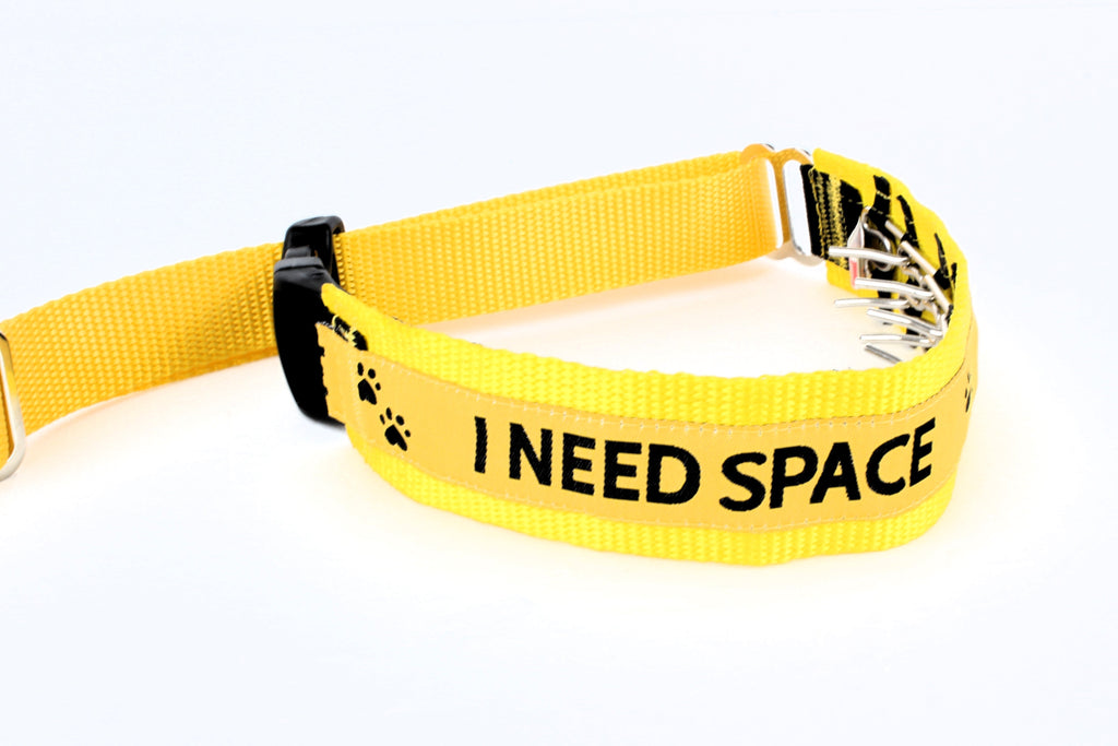 Lola Secret Powers Training Collars  8 Prongs (12-21" neck)