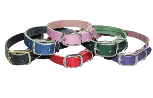 Leather Flat Buckle Collars